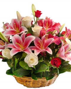Arng of Carnations