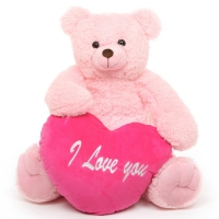 4ft Giant pink with pillow