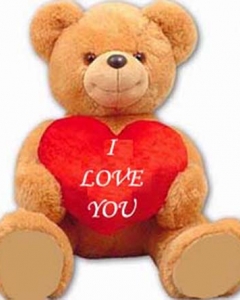 3ft brown bear w/pillow
