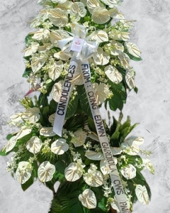 beautiful flower in the garden