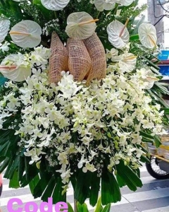 Funeral_Moments In Time