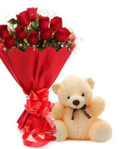 12 Red Roses and a cuddly Teddy Bear