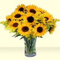 Power of Love (24 red roses wrapped)